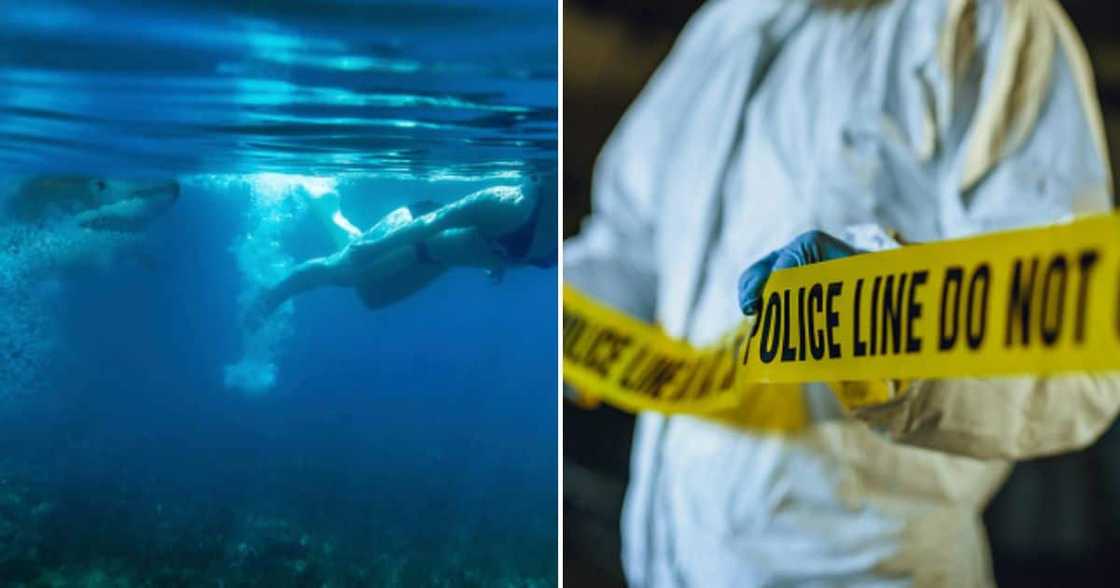 Woman attacked by shark Woman attacked by shark