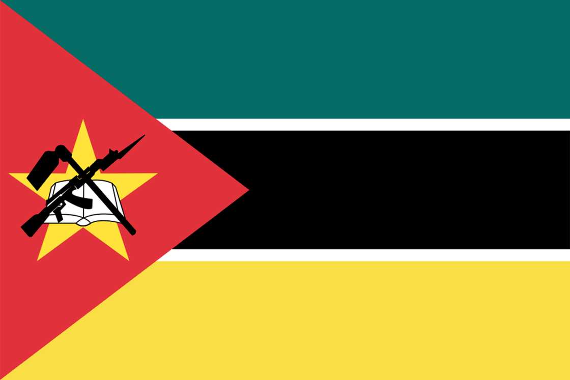 The flag of Mozambique