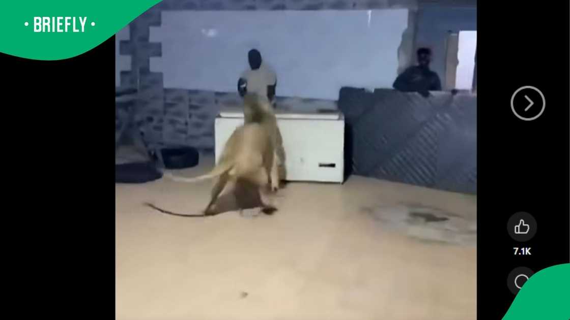 A video went viral. A video went viral.