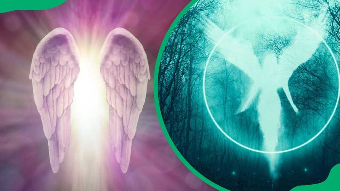 7777 angel number 7777 angel number