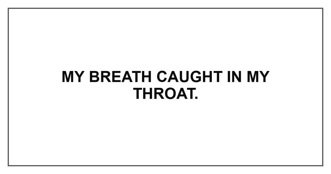 My breath caught in my throat.