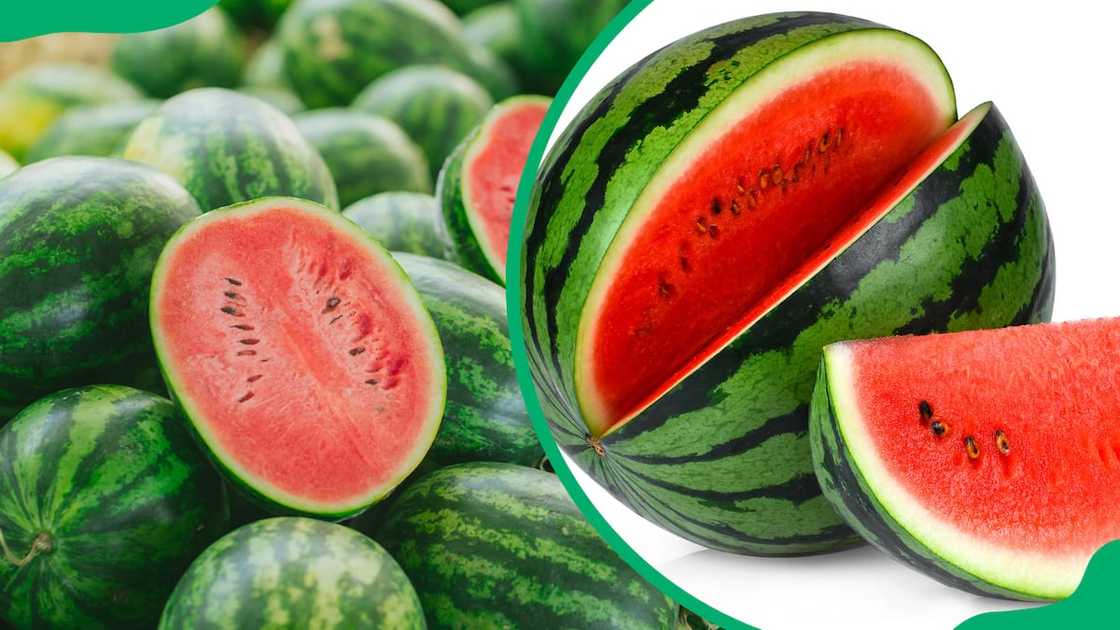 Green watermelons Green watermelons
