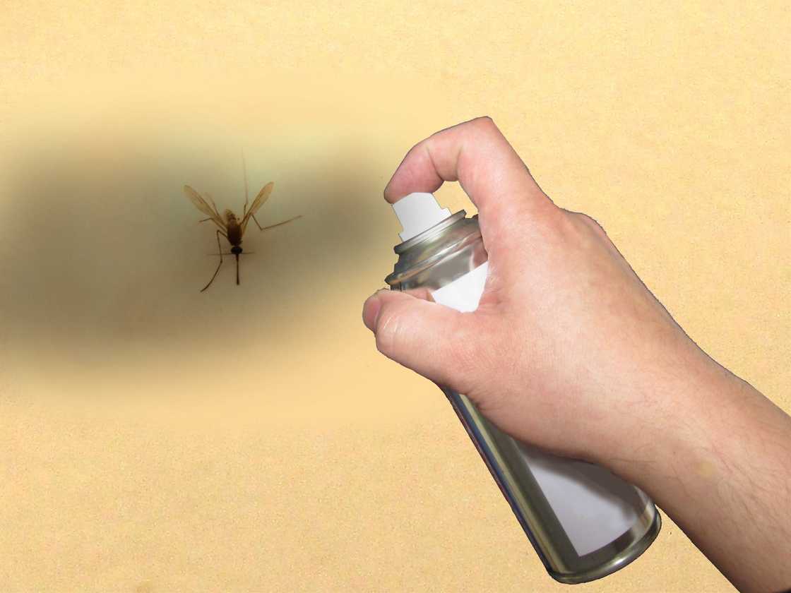 A man spaying flies in the house. A man spaying flies in the house.