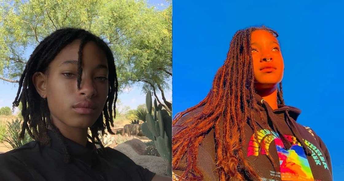 'Transparent Soul': Will Smith's Daughter Willow Drops New Rock Single 'Transparent Soul': Will Smith's Daughter Willow Drops New Rock Single