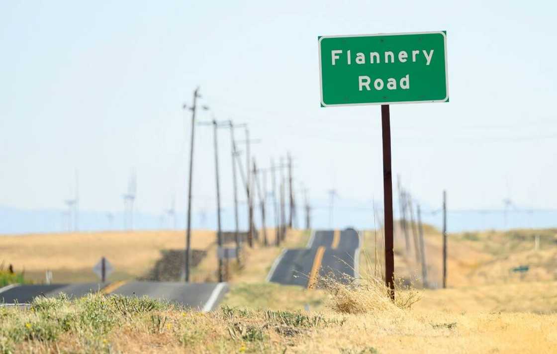 Swaths of rural land between San Francisco and Sacramento, in the western US state of California, were secretly purchased by tech tycoons keen on building a new city Swaths of rural land between San Francisco and Sacramento, in the western US state of California, were secretly purchased by tech tycoons keen on building a new city