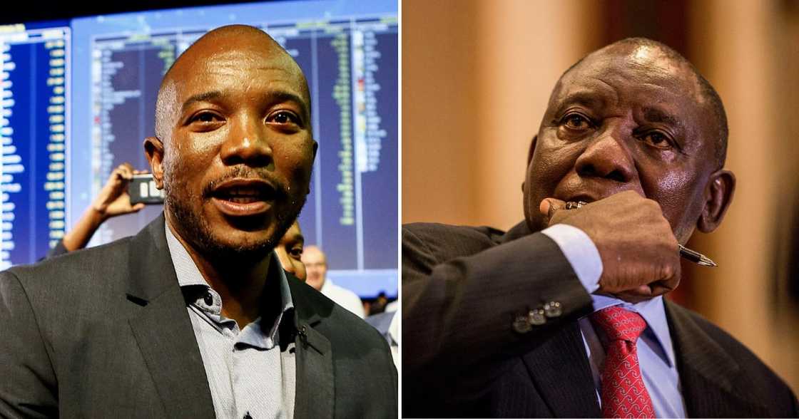 Mmusi Maimane says Cyril Ramaphosa should have resigned