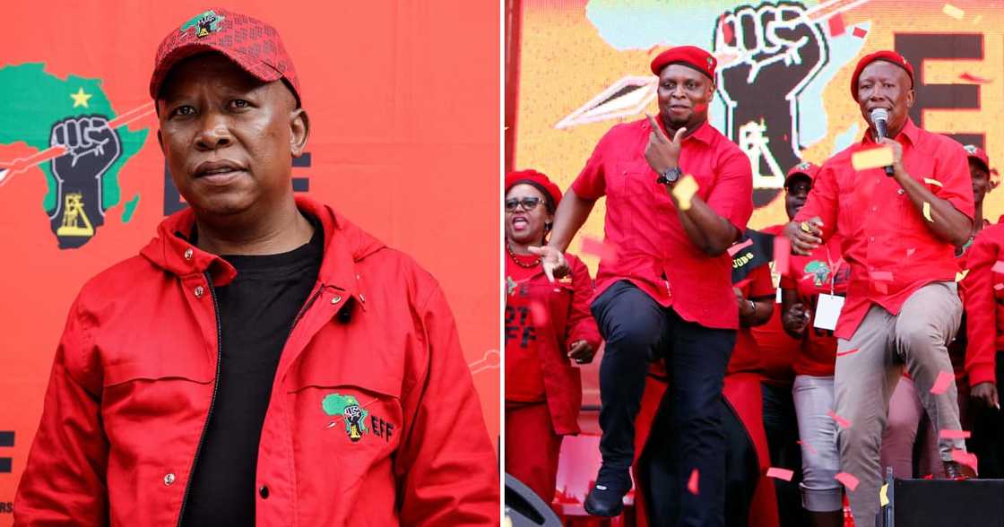 Julius Malema, leader of the Economic Freedom Fighters (EFF) political party, addresses supporters gathered at the Makwarela stadium in Limpopo on June 16