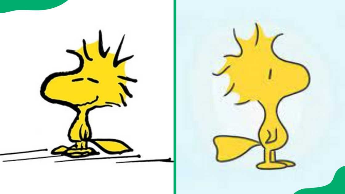 Woodstock from Peanuts. Woodstock from Peanuts.