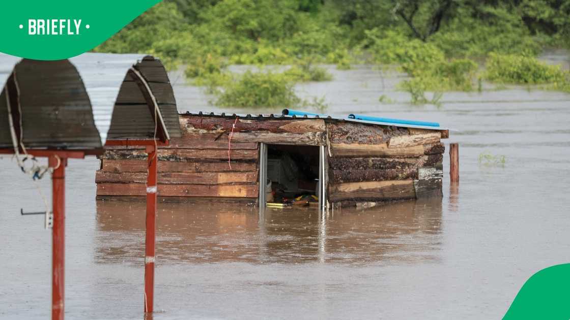 The South African Weather Service issued multiple warnings for Limpopo and Mpumalanga which have been flooded The South African Weather Service issued multiple warnings for Limpopo and Mpumalanga which have been flooded