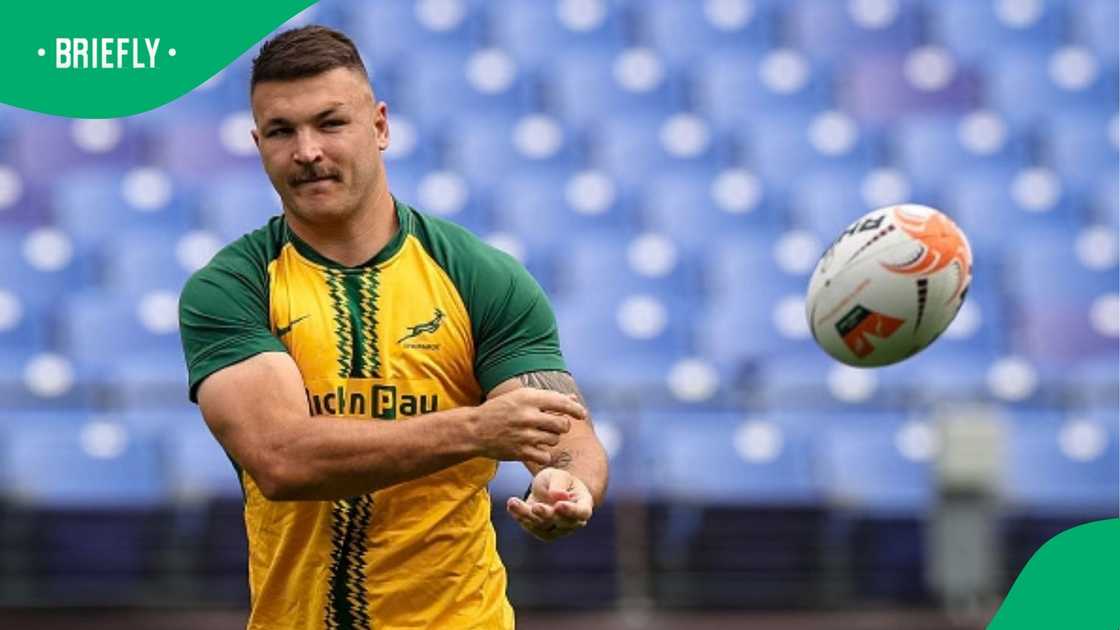 Springboks, South Africa, Andre Esterhuizen, All Blacks
