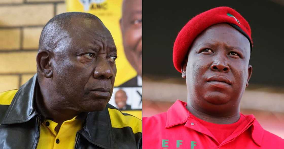 Julius Malema, Cyril Ramaphosa, President, EFF, Economic Freedom Fighters, ANC, Grant, Social relief of distress, Party, Celebrations