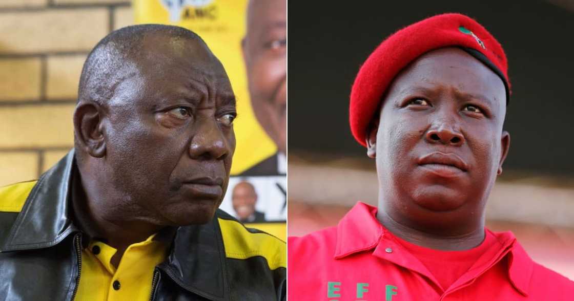 Julius Malema, Cyril Ramaphosa, President, EFF, Economic Freedom Fighters, ANC, Grant, Social relief of distress, Party, Celebrations Julius Malema, Cyril Ramaphosa, President, EFF, Economic Freedom Fighters, ANC, Grant, Social relief of distress, Party, Celebrations