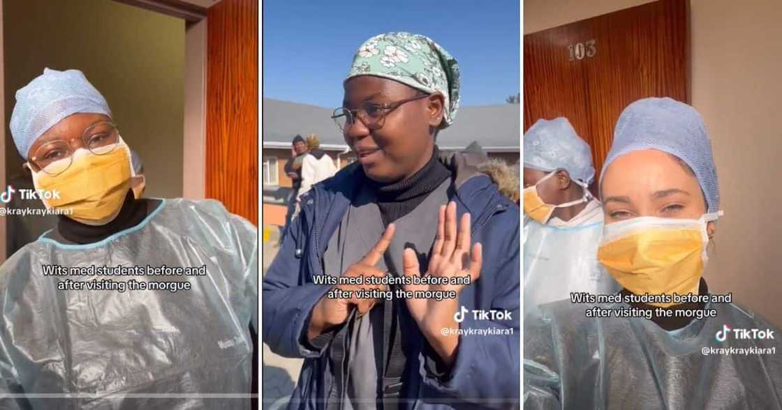 Wits medical students visit the morgue Wits medical students visit the morgue