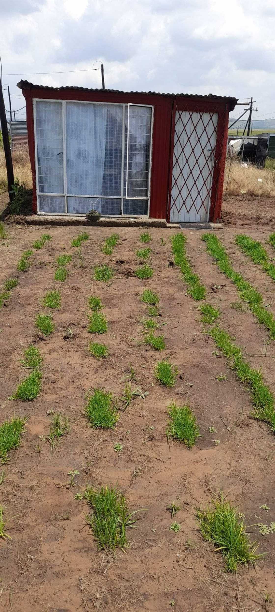 Exterior of shack in Kwazulu-Natal Facebook post