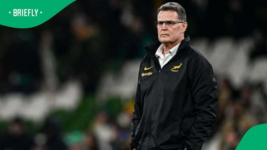 Rassie Erasmus, Springboks, South Africa, Cape Town Rassie Erasmus, Springboks, South Africa, Cape Town