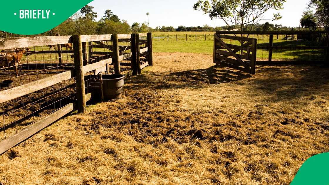 The PAC suggested that the land of the farmer accused of killing two women in Limpopo should be expropriated The PAC suggested that the land of the farmer accused of killing two women in Limpopo should be expropriated