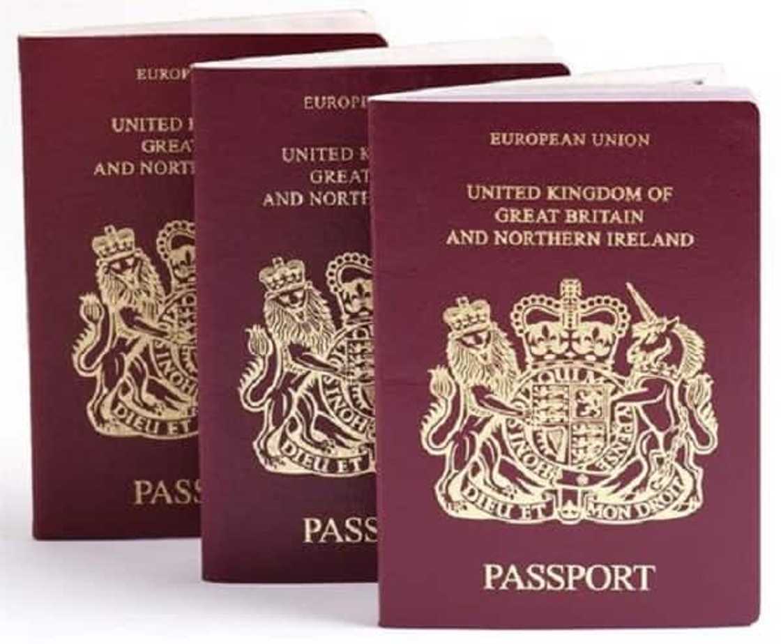 british passport renewal south africa british passport renewal south africa