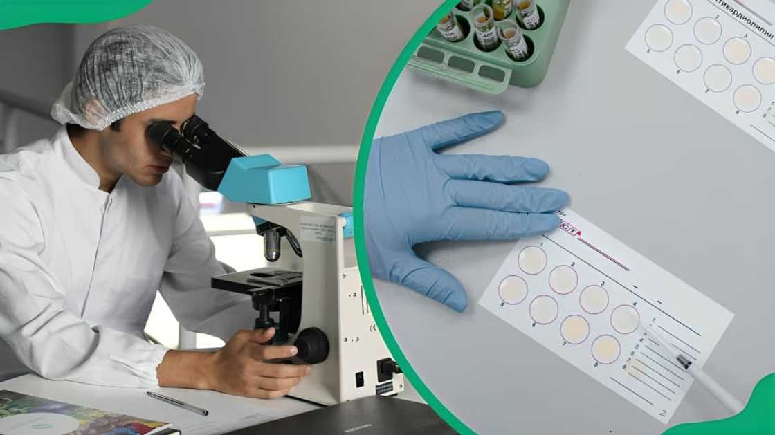 Add image
How much is a DNA test price in Johannesburg Add image
How much is a DNA test price in Johannesburg