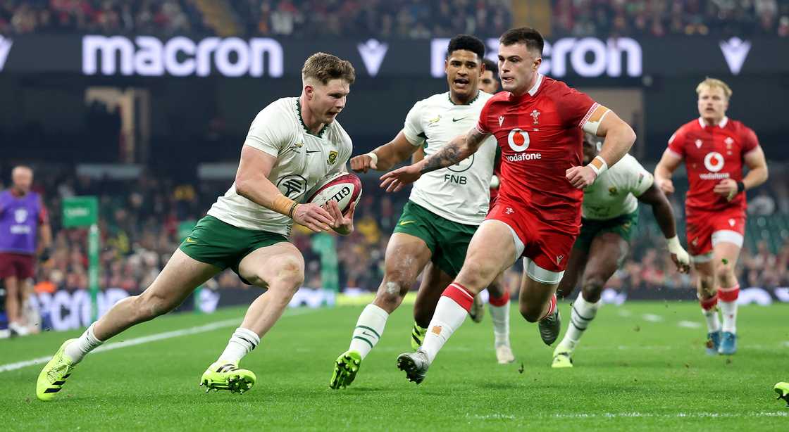 Sacha Feinberg-Mngomeezulu, Ethan Hooker, Springboks Sacha Feinberg-Mngomeezulu, Ethan Hooker, Springboks