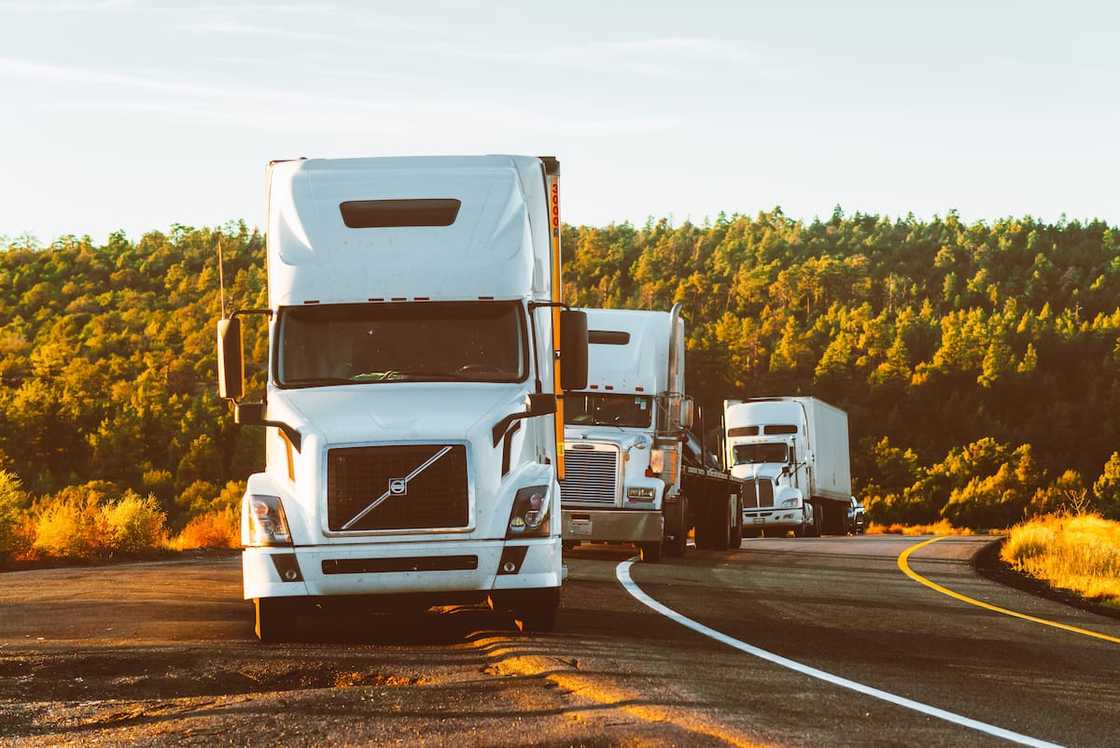 Who is the biggest transporter in Africa? Who is the biggest transporter in Africa?