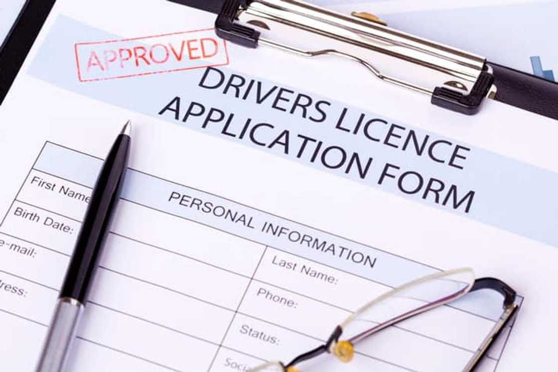 DL1 form Gauteng DL1 form Gauteng