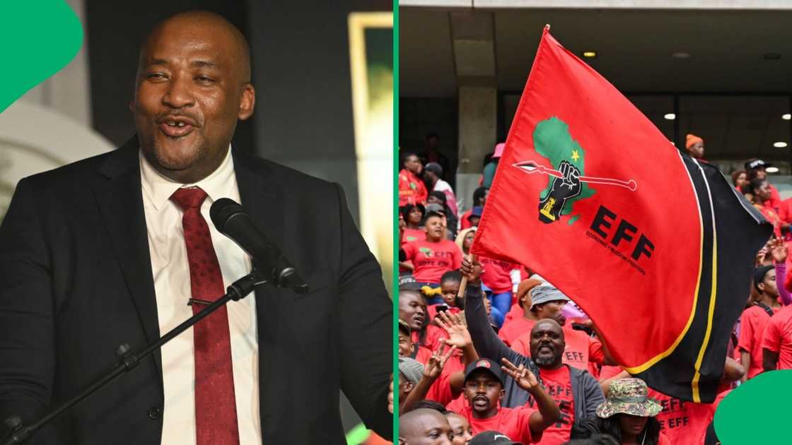 Sports, Arts and Culture Minister Gayton McKenzie slammed the EFF's criticism of his Olympics trip Sports, Arts and Culture Minister Gayton McKenzie slammed the EFF's criticism of his Olympics trip