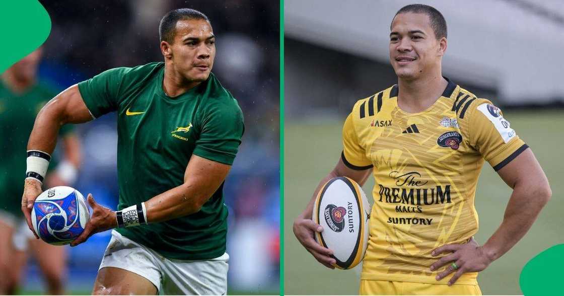 Cheslin Kolbe is aiming for a return to the Springbok side. Cheslin Kolbe is aiming for a return to the Springbok side.