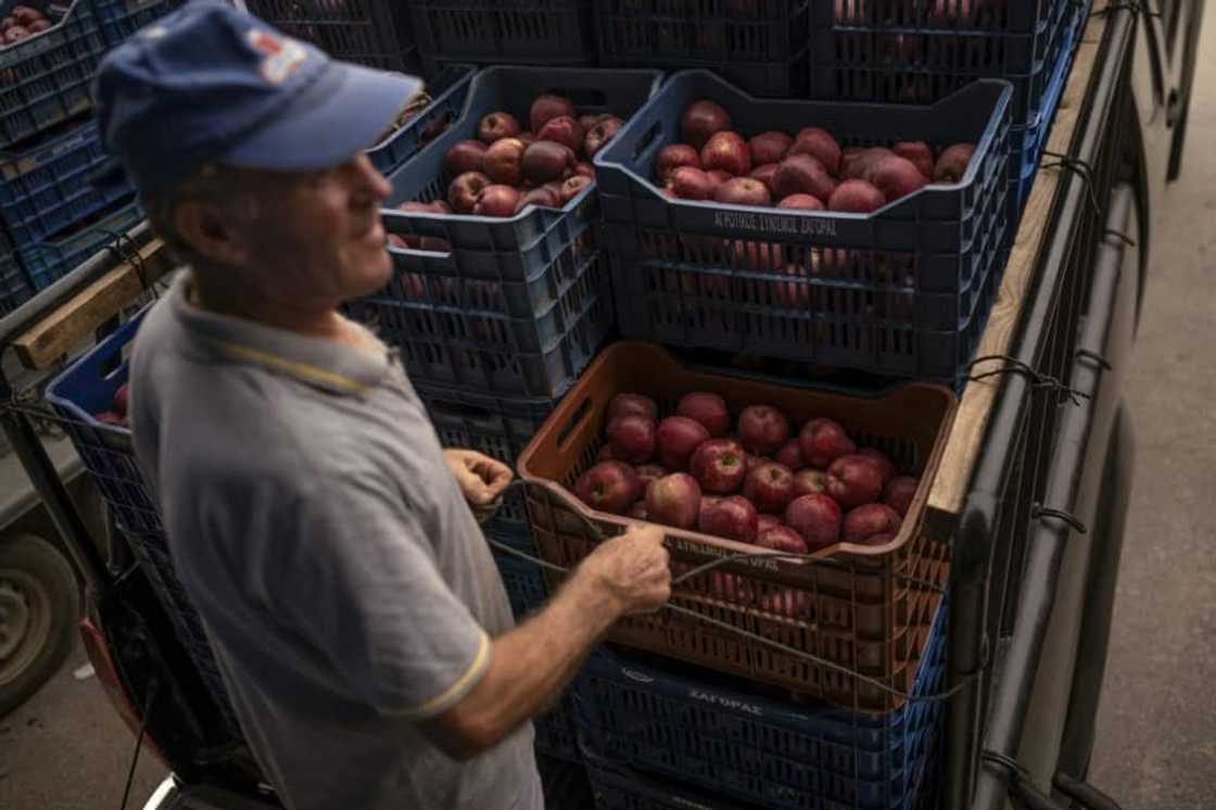 Zagora is Greece's apple powerhouse, with a farm cooperative that dates to 1916 Zagora is Greece's apple powerhouse, with a farm cooperative that dates to 1916