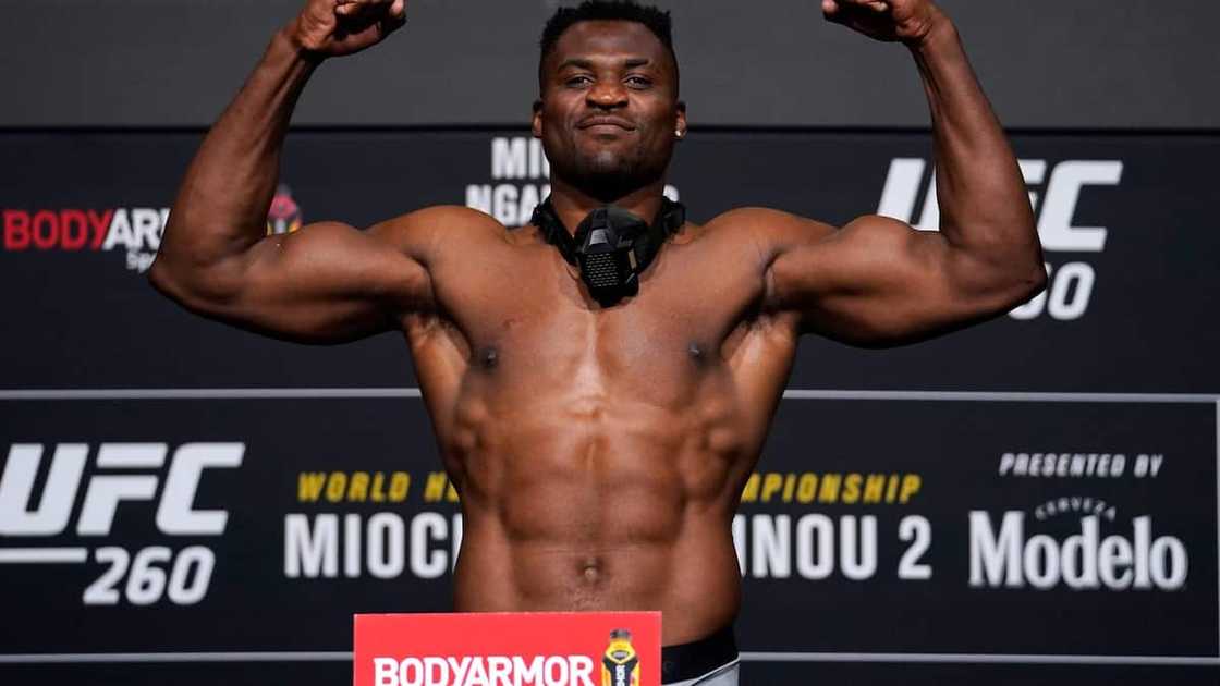 African fighters African fighters
