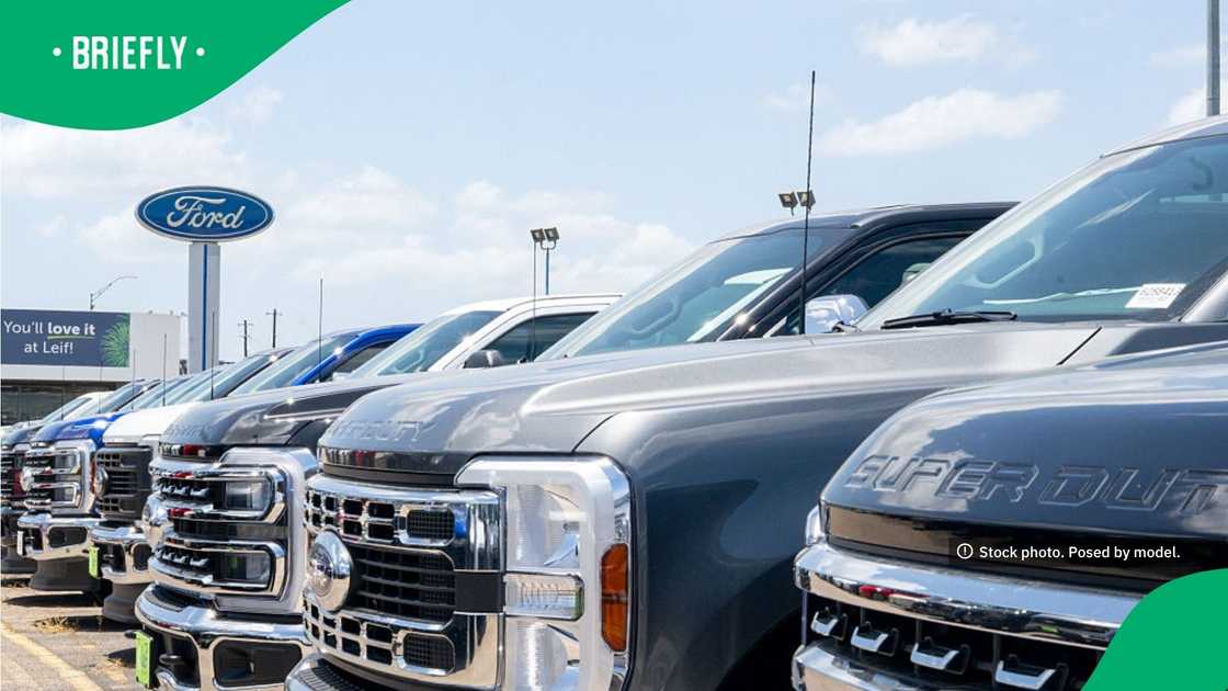 The Ford Motor emblem on the bumper of vehicles at the Leif Johnson Ford dealership