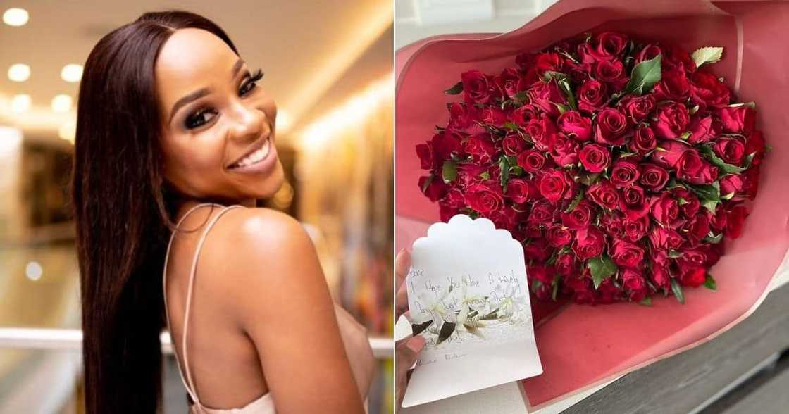 South Africa, Flowers, Romance Movie, Mzansi South Africa, Flowers, Romance Movie, Mzansi