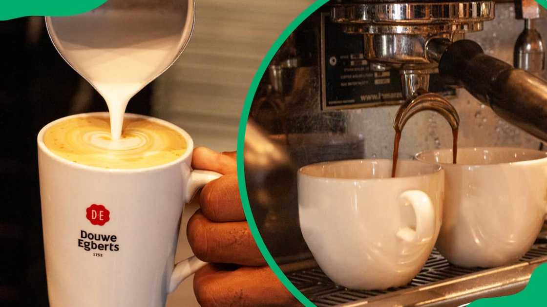 Parrots Milk tea Parrots Milk tea