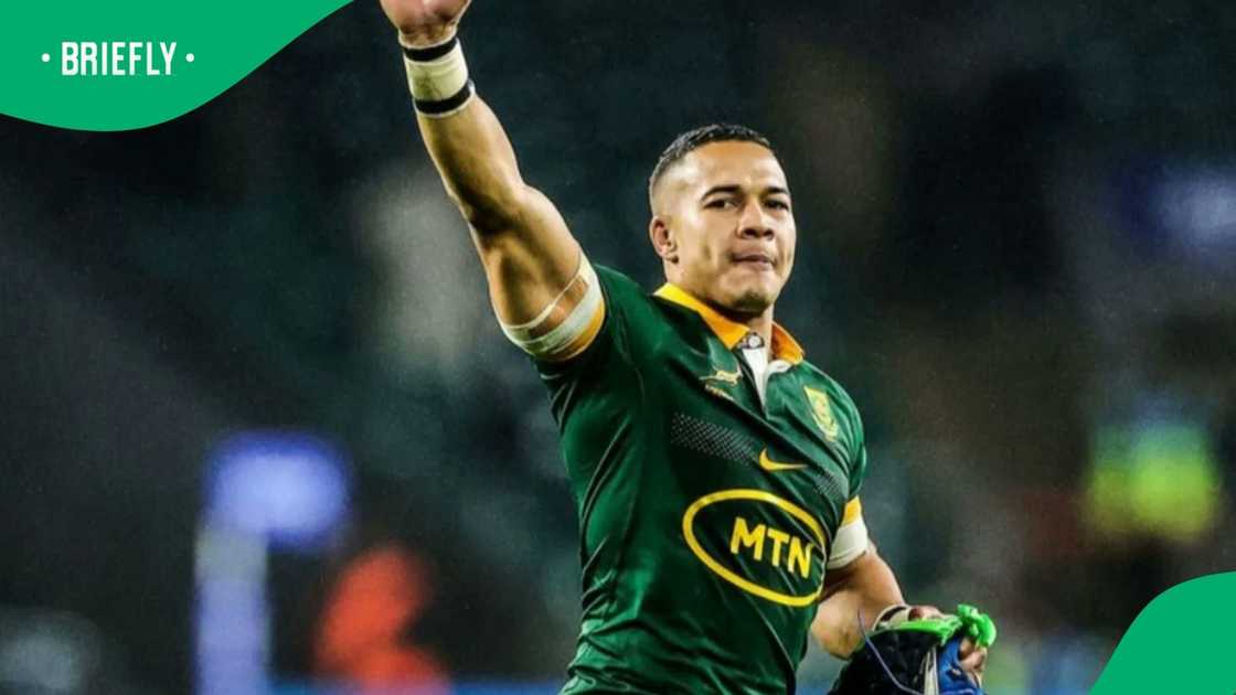 Cheslin Kolbe set for Stormers return Cheslin Kolbe set for Stormers return