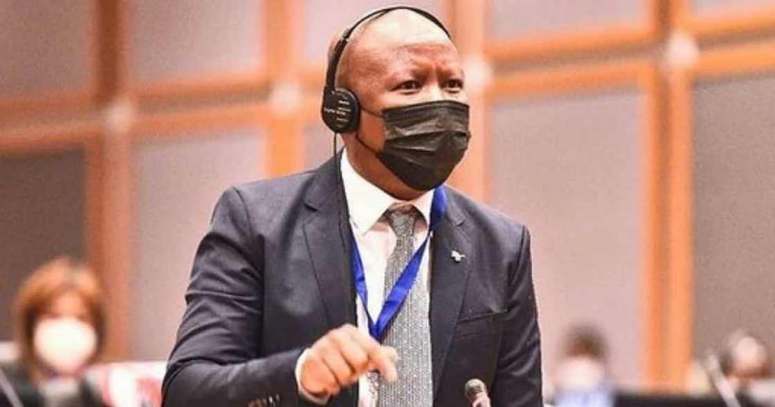 Julius Malema Breaks His Silence and Addresses "I'll Kill You" Comment Julius Malema Breaks His Silence and Addresses "I'll Kill You" Comment