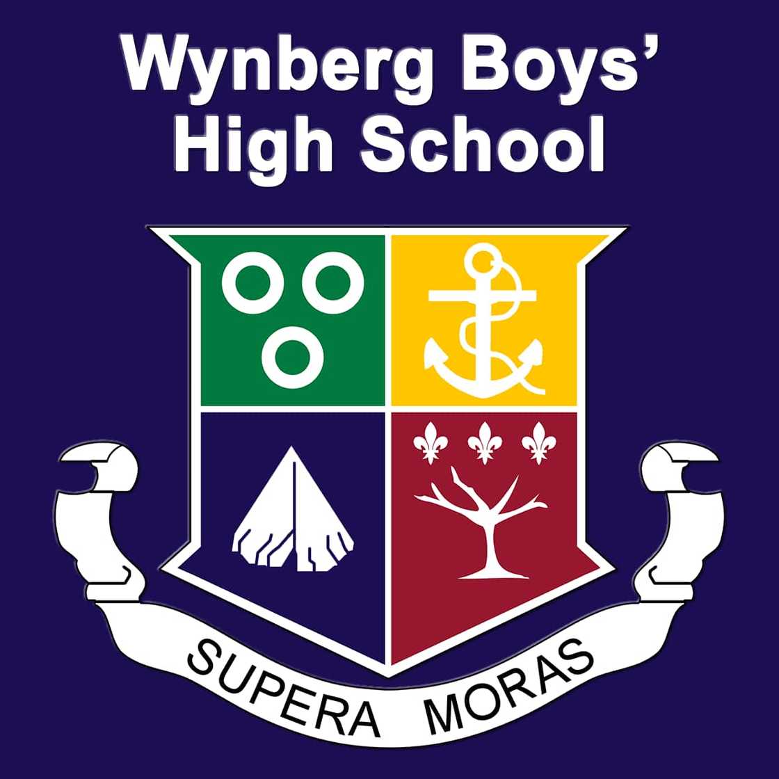 best schools in gauteng best schools in gauteng
