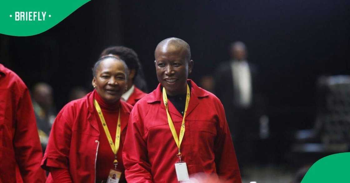 The Economic freedom fighters' president Julius Malema slammed the new cabinet The Economic freedom fighters' president Julius Malema slammed the new cabinet