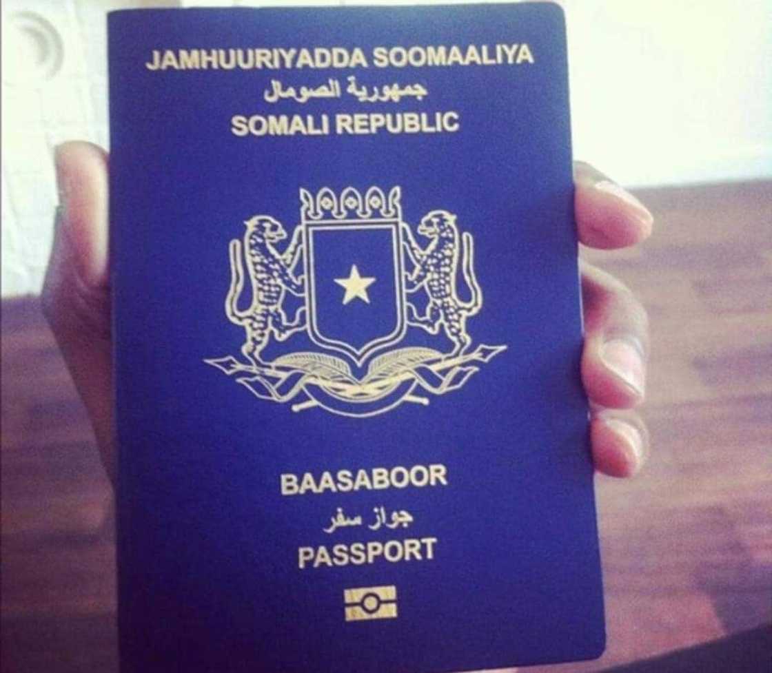 These are the seven most worthless African passports to hold in 2021