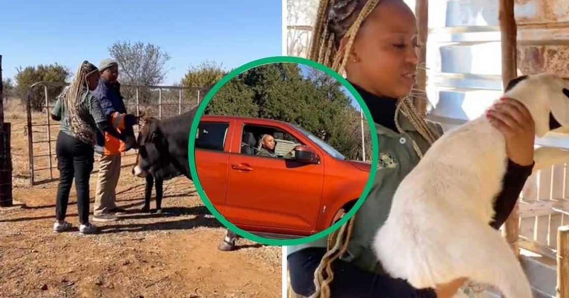 You woman shows how life can be working on a farm. You woman shows how life can be working on a farm.