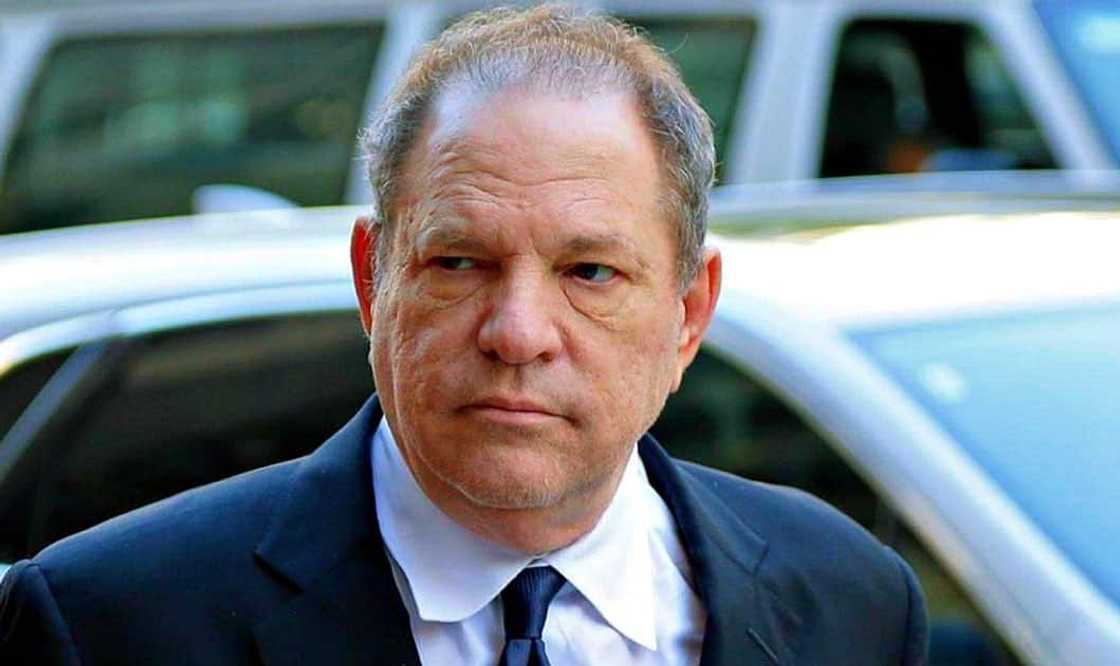 harvey weinstein movies harvey weinstein movies