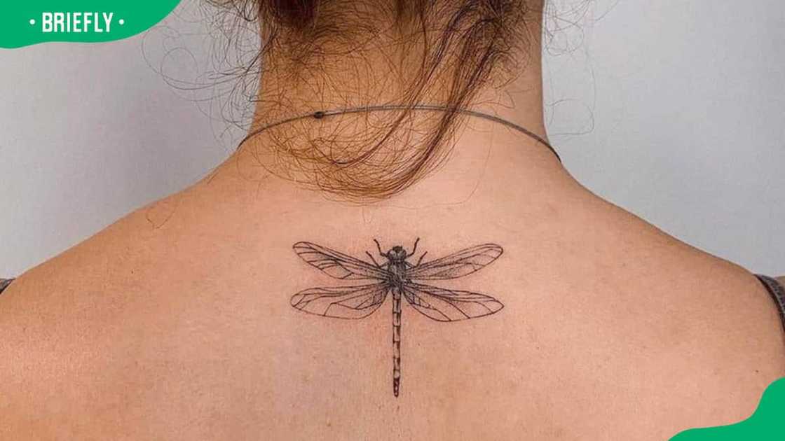 Back dragonfly tattoo Back dragonfly tattoo