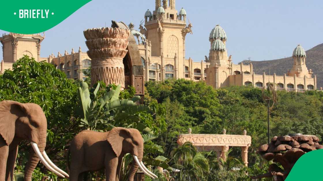 Sun City ticket prices costs updated in 2026 Sun City ticket prices costs updated in 2026