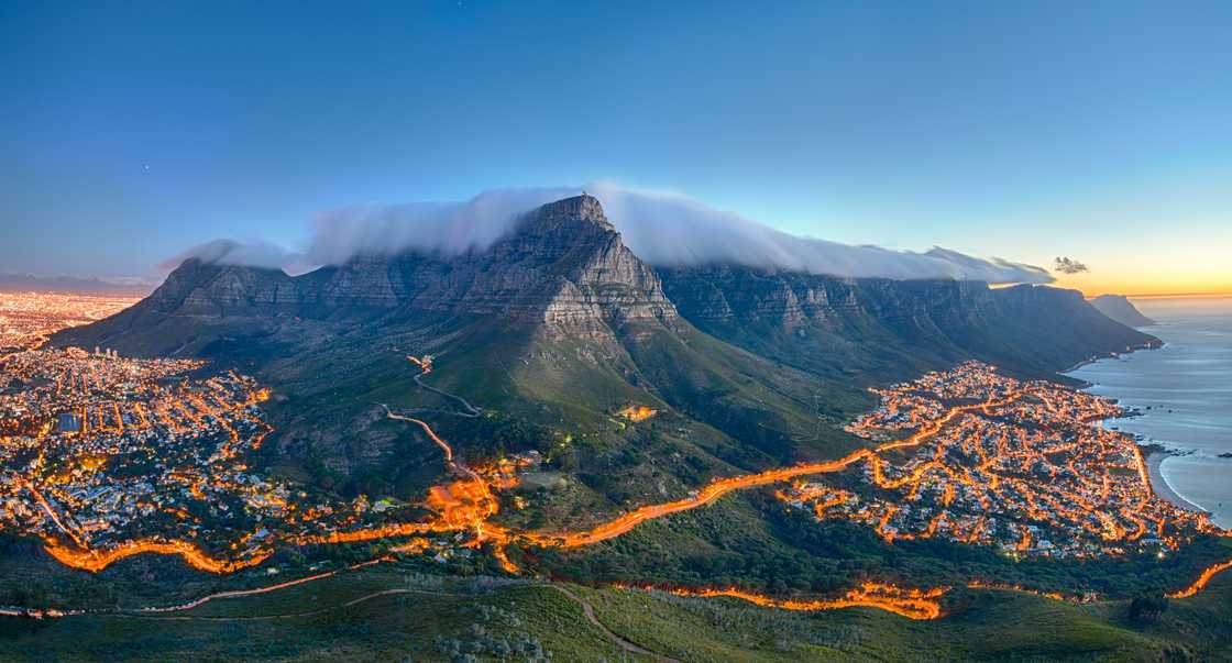 Cape Town "giants" spotted Cape Town "giants" spotted