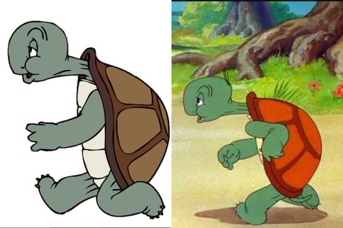 Cecil Turtle Cecil Turtle