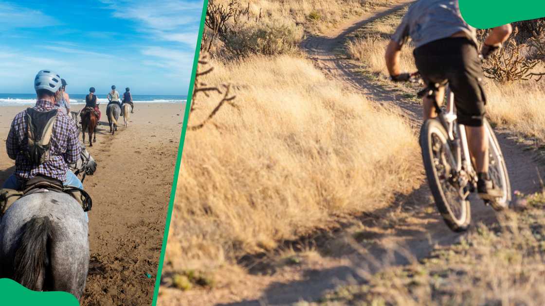 Things to do in Langebaan Things to do in Langebaan