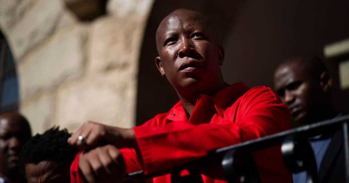 EFF, Die Stem, Julius Malema, trending, reactions