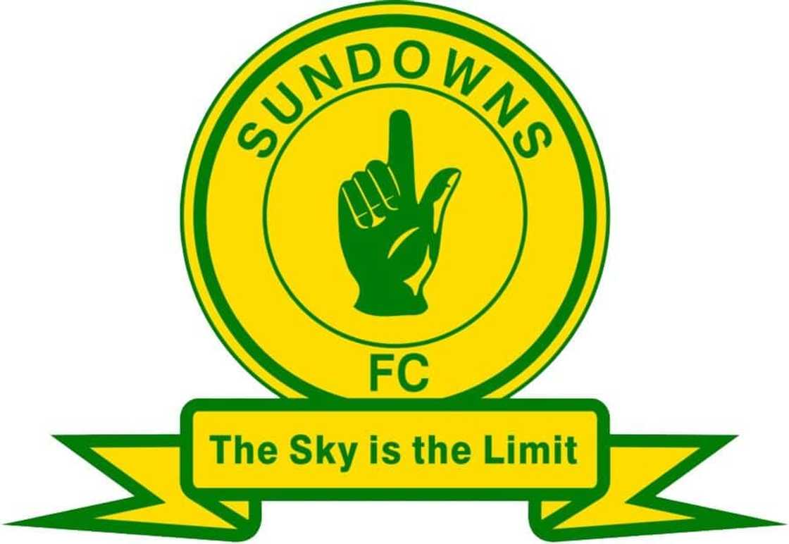 Mamelodi Sundowns logo Mamelodi Sundowns logo