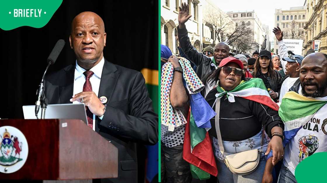 KwaZulu-Natal Premier Thami Ntuli said anti-illegal immigration marches negatively impact the economy
