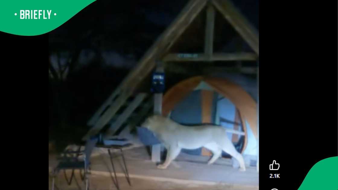 A video went viral on Facebook.