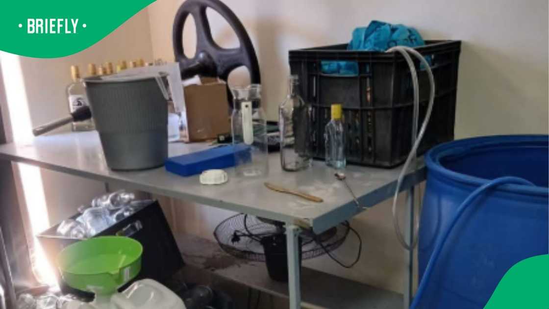 NSO officers responded to the complaint and were granted permission to enter the premises