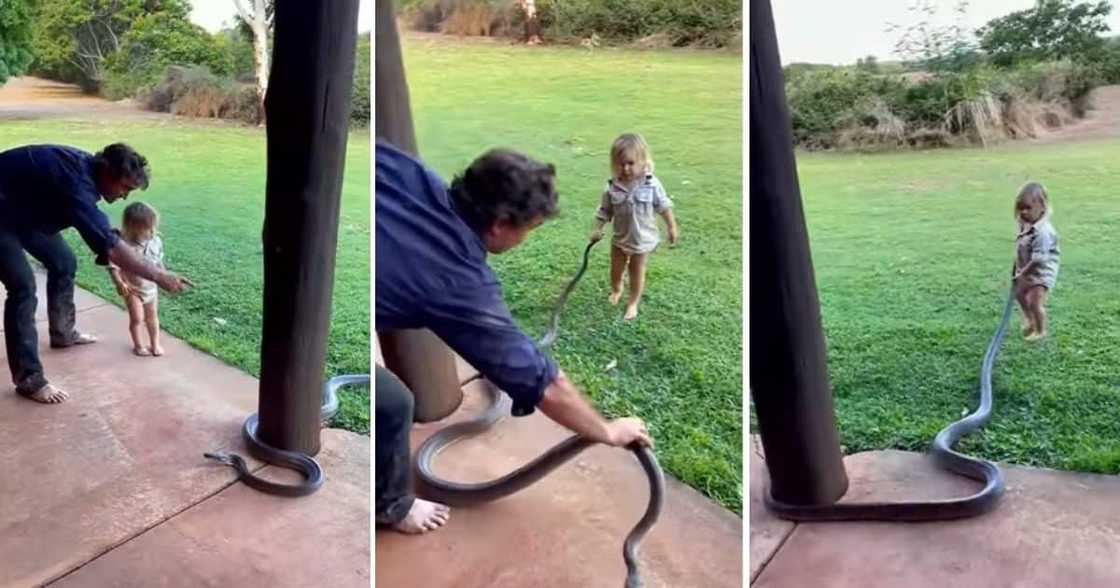 Boy, Dragging Snake, Australia, South Africa Boy, Dragging Snake, Australia, South Africa